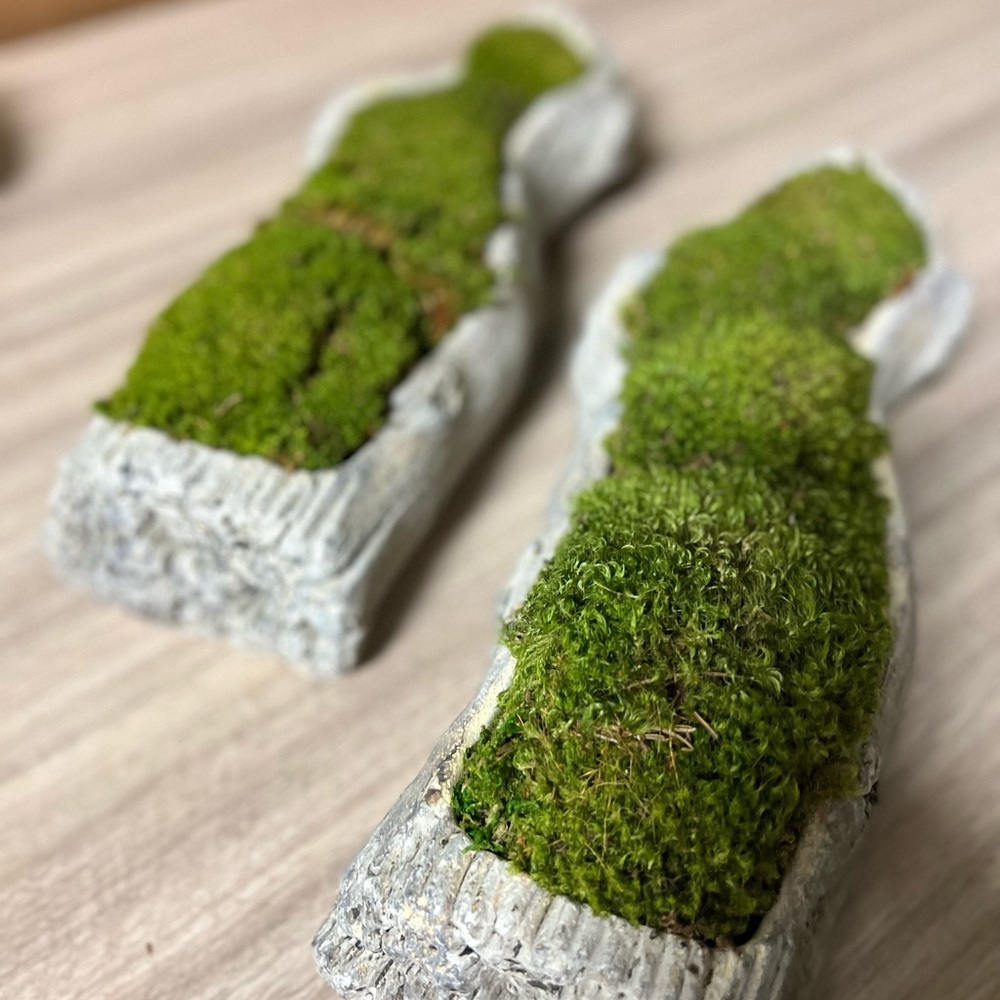 Preserved Moss Containers